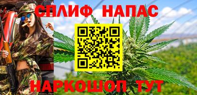 Альфа ПВП Можга