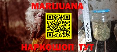 Альфа ПВП Можга