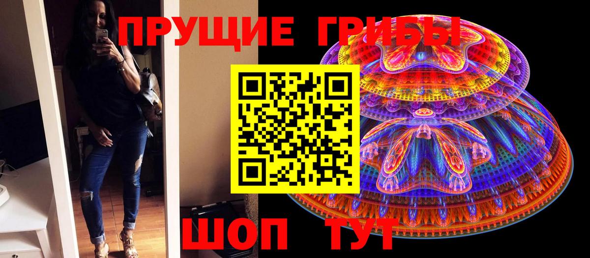 Псилоцибиновые грибы Psilocybine cubensis Волгоград